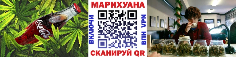 цена   Жирновск  Canna-Cookies конопля 