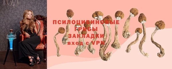 кокаин Алексин