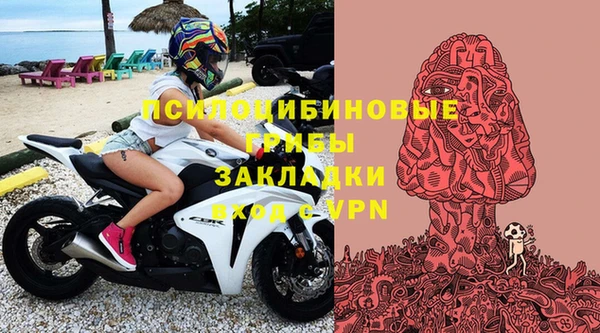 гидра Алексеевка