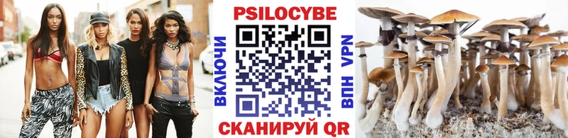 Псилоцибиновые грибы мицелий  наркотики  Жирновск 